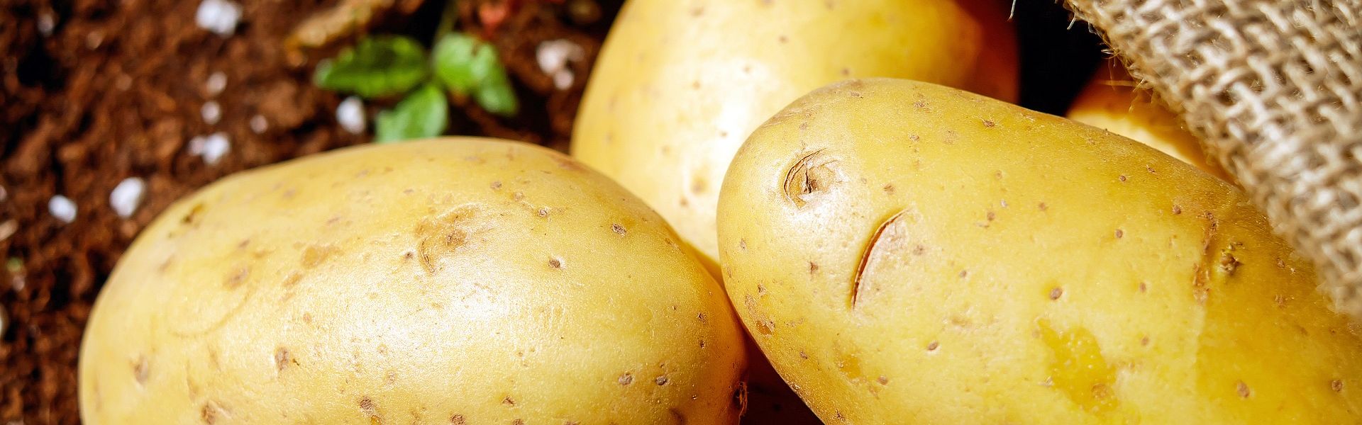 Werken in de supermarkt - Aardappelen