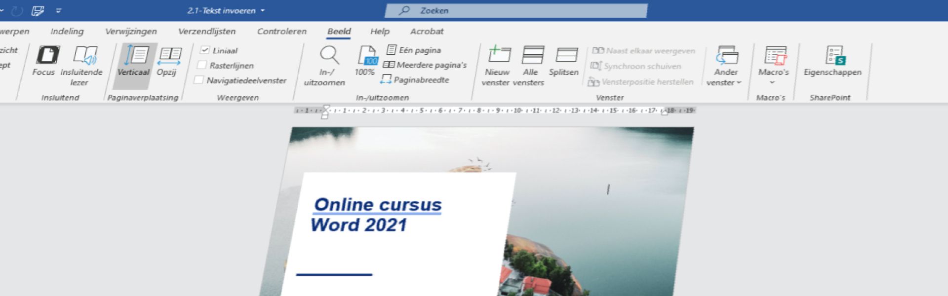 Microsoft Word 2021