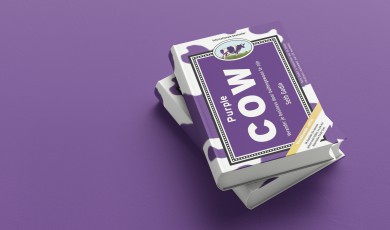 Purple Cow (samenvatting)