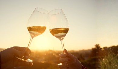 Wijncursus: Ontdek de wereld van wijn