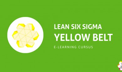 Lean Six Sigma - Yellow Belt